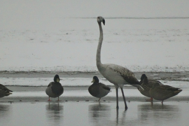 ������-1