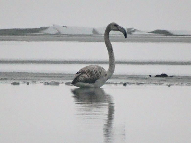 ������-2