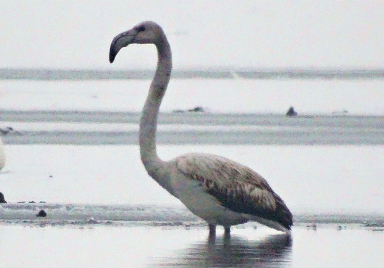 ������-5