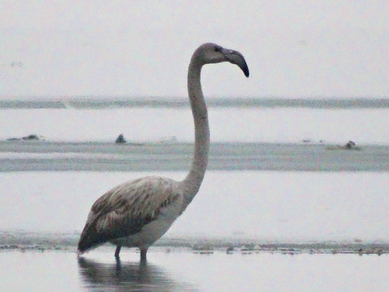 ������-6