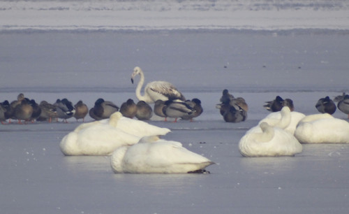 ��˯��,������ֵ��վ��