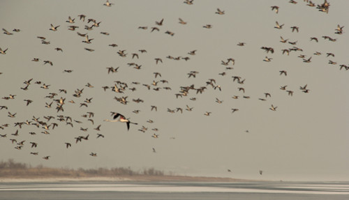 ����һ���!