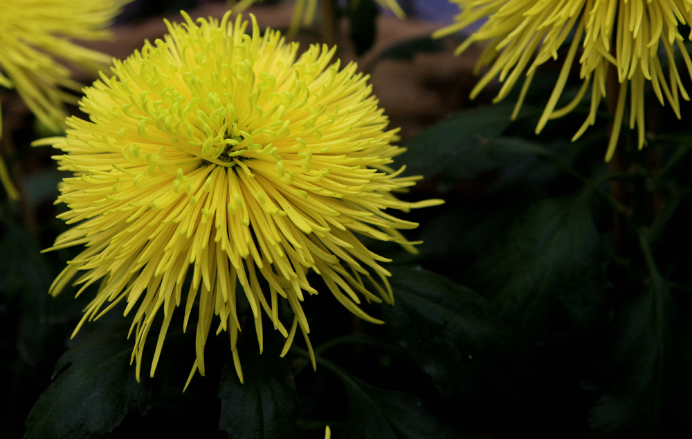 ����̨��8���� 018����.jpg