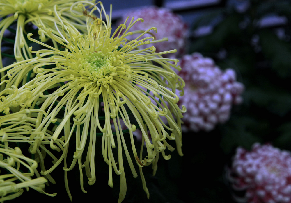 ����̨��8���� 028����.jpg