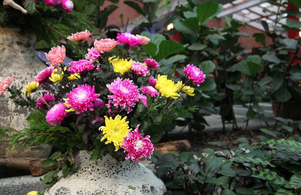 ����̨��8���� 040����.jpg