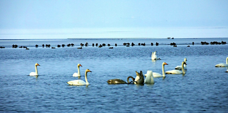 1������á�