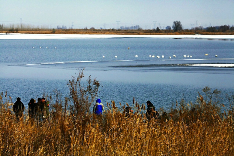 2������Ȼ��