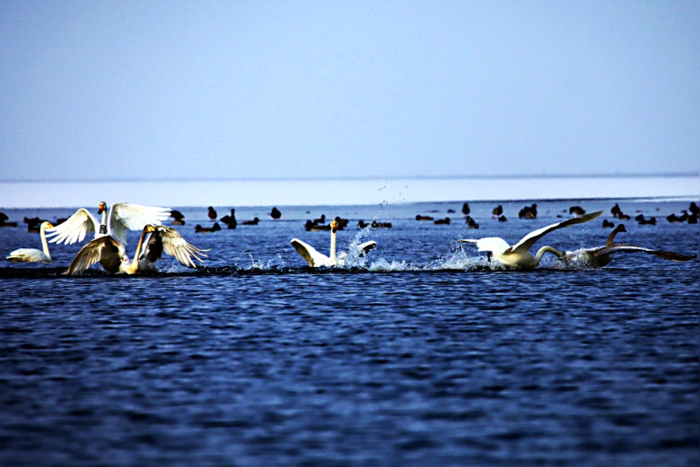 3���Ϸˮ��