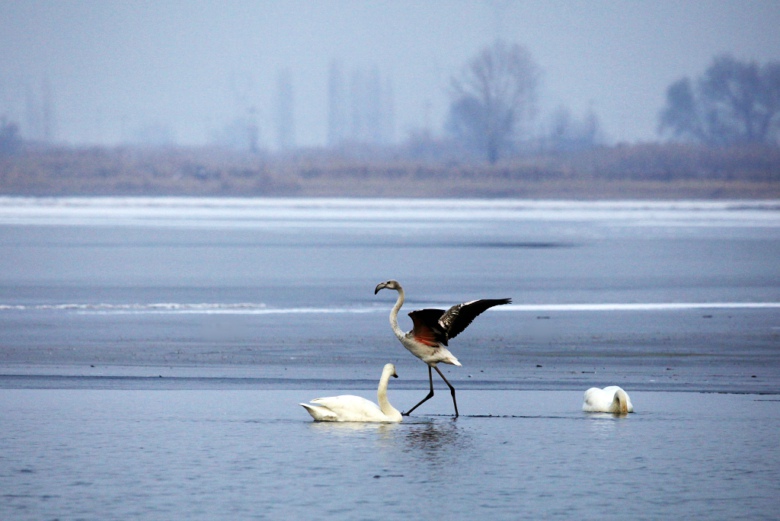 4�Ѻ��ദ��