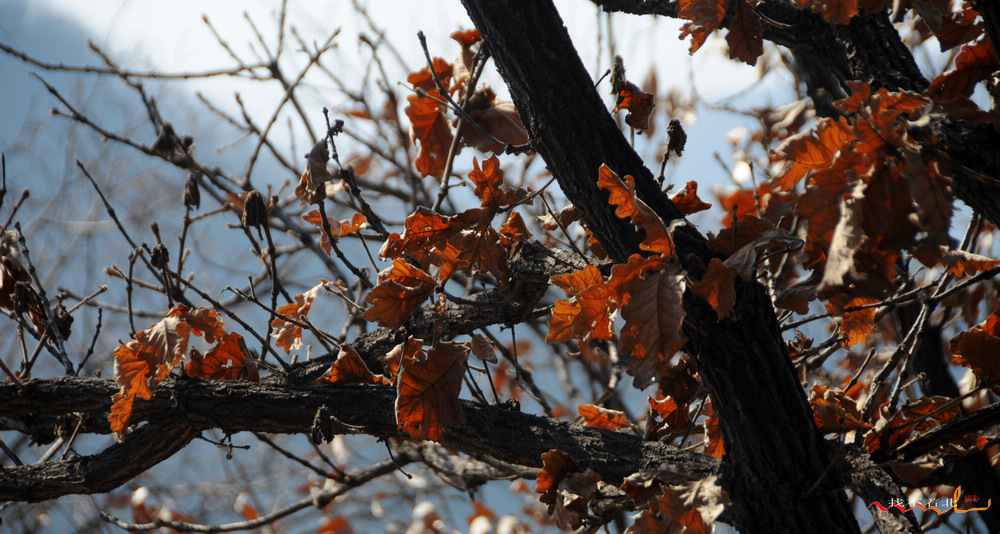 ����ɽ (7).jpg