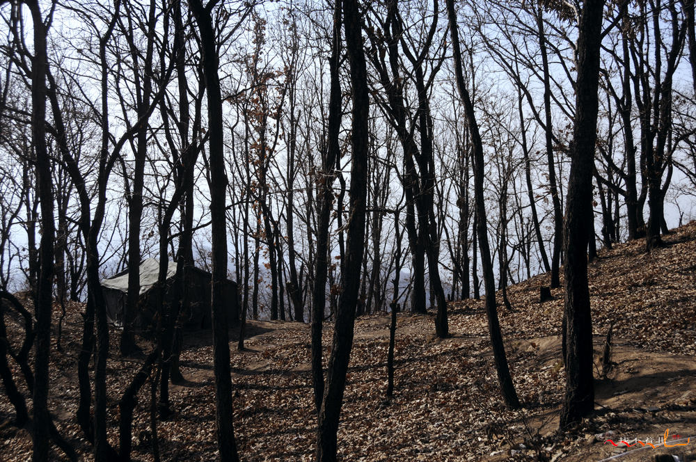 ����ɽ (9).jpg