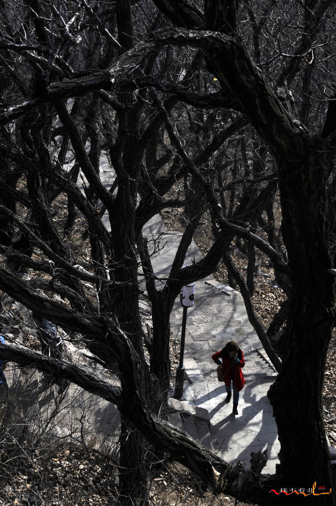 ����ɽ (15).jpg