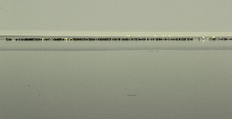 ˮ���L��-2