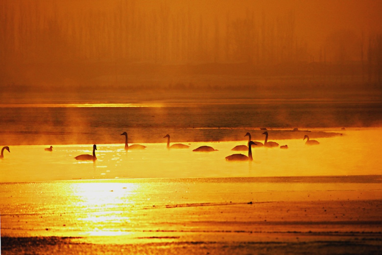 3�˼��ɾ�������