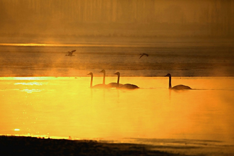 4�˼��ɾ�������