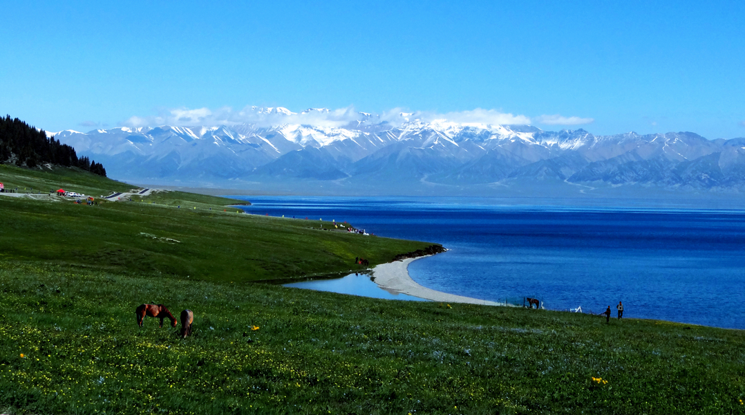 ����ľ��֮��  (1).jpg