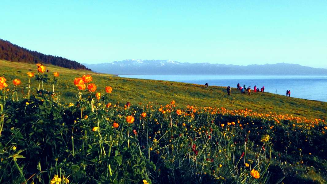 ����ľ��֮��  (2).jpg