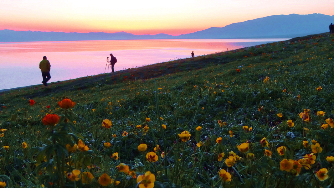 ����ľ��֮��  (3).jpg