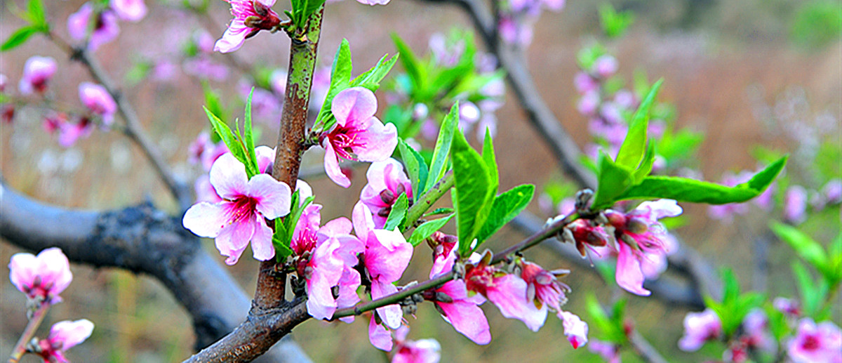 ��Ƭ 092_����.jpg