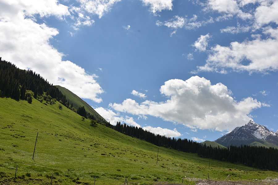 �Ƕ�����ԭ���