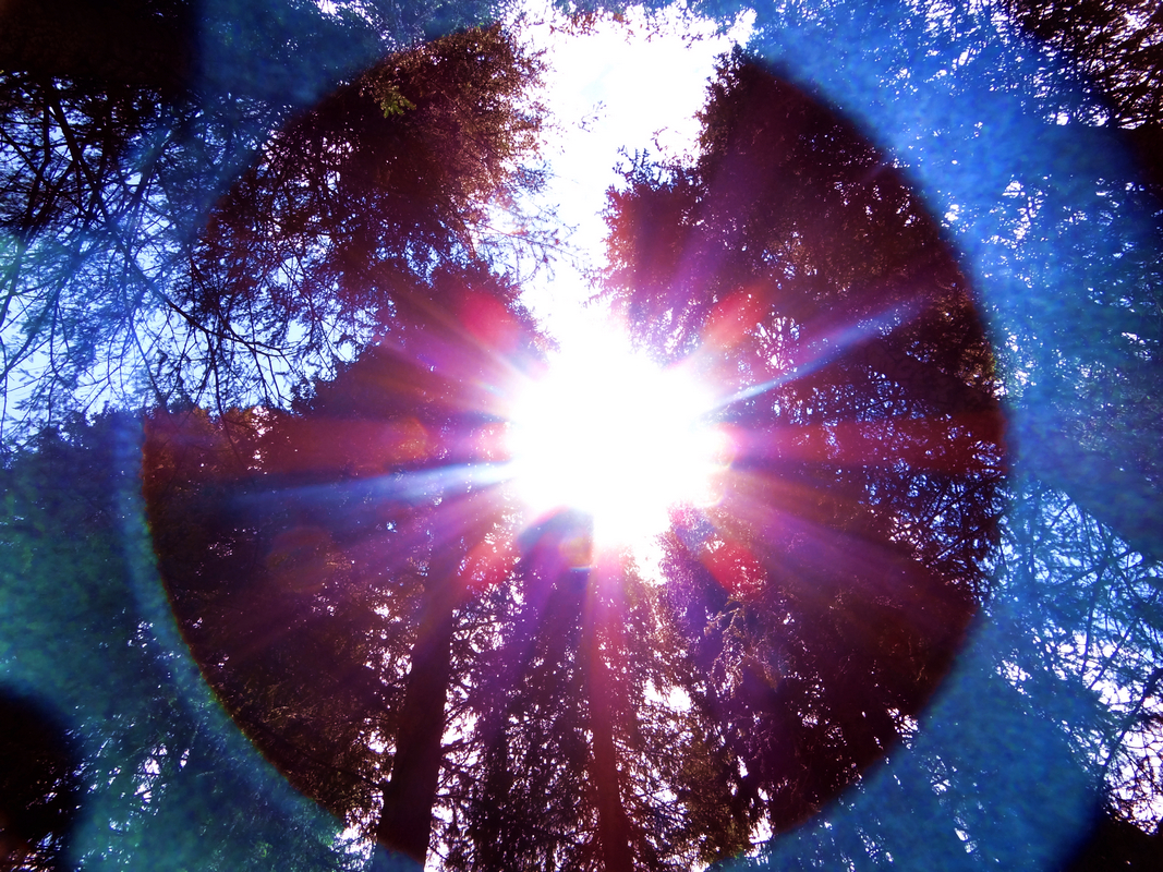 ̫������ .jpg