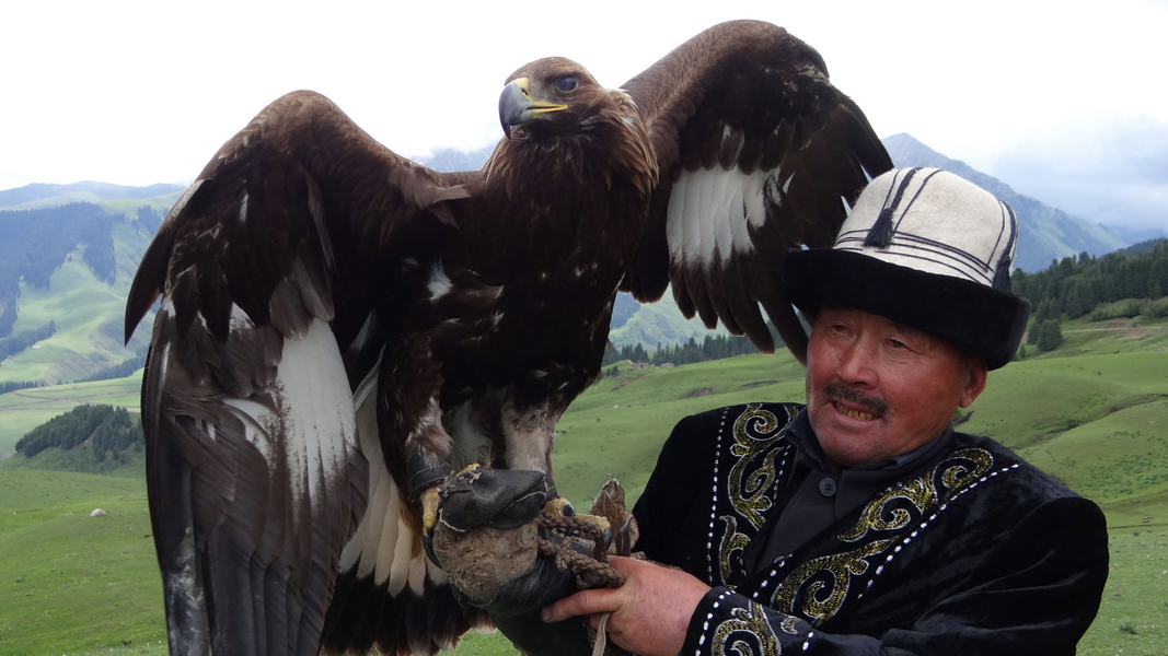 ��ɽӥ������ ..jpg