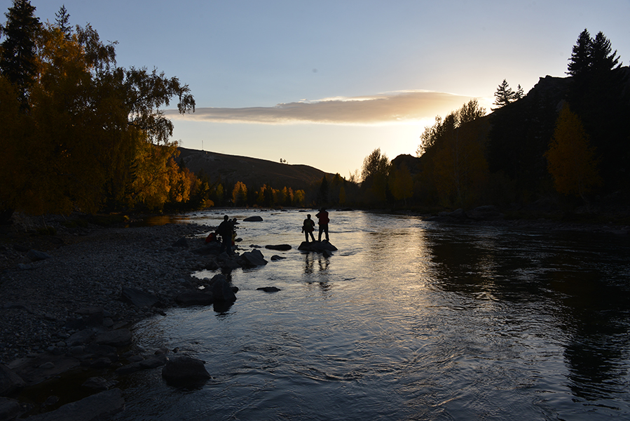 Ϧ���µĿɿ��к�