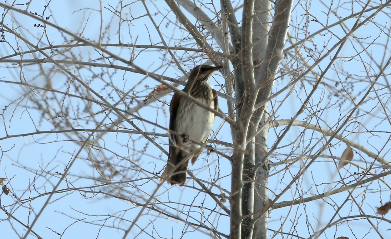 ����ʲô�� (1).jpg