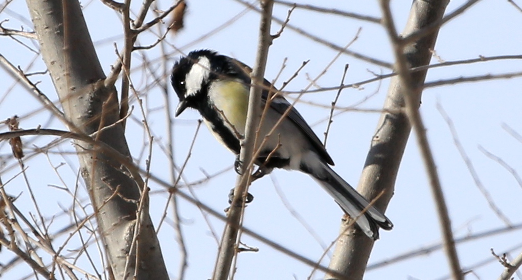 ������ʲô�񣿣� (1).jpg