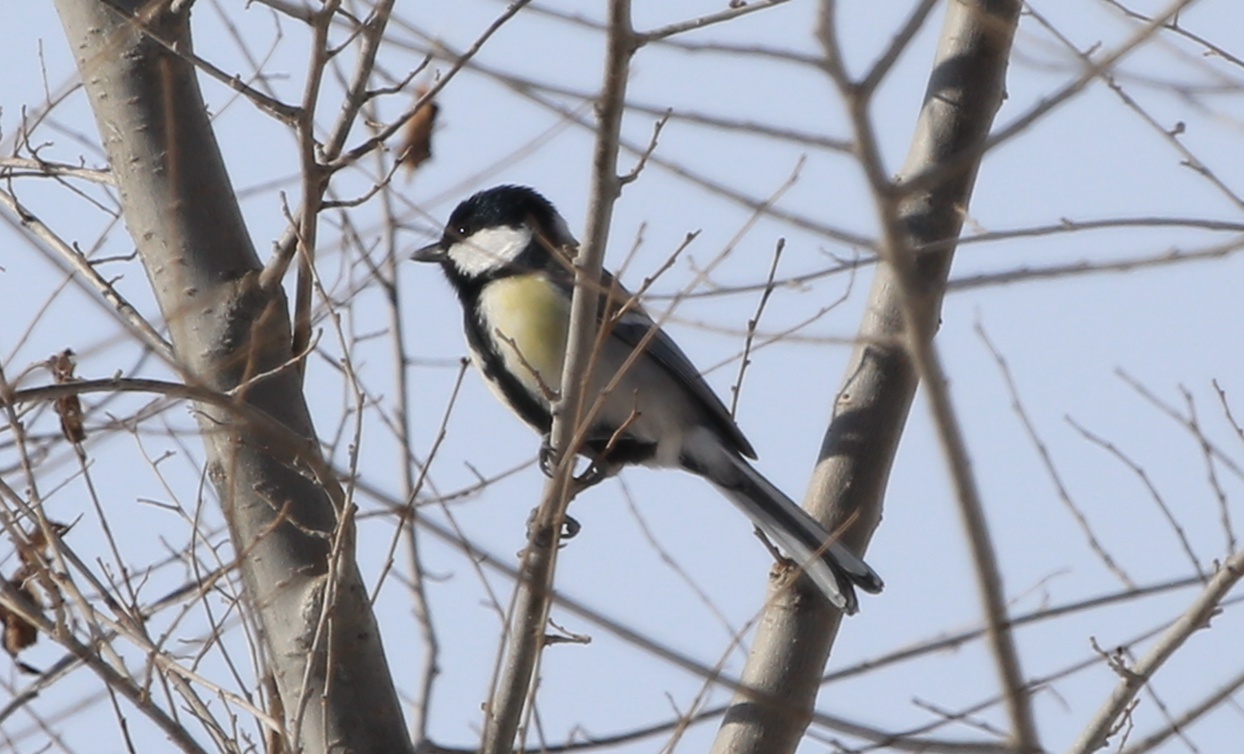 ������ʲô�񣿣� (2).jpg