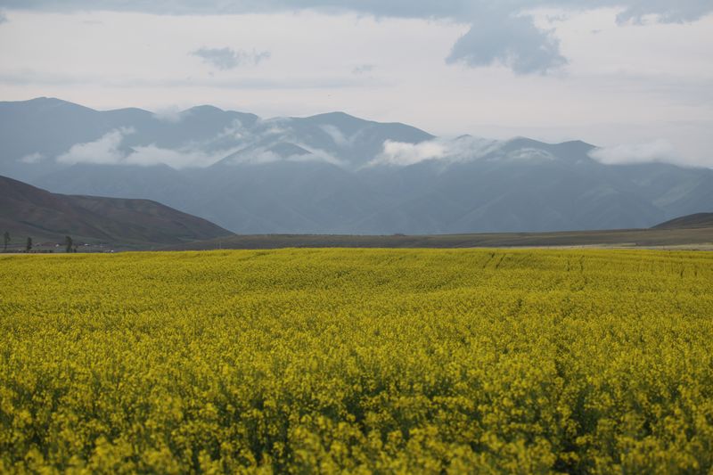 �����Ĳ�ԭ