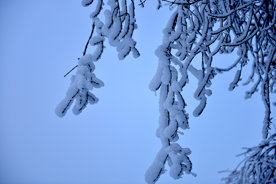 2013ʯ����֮��