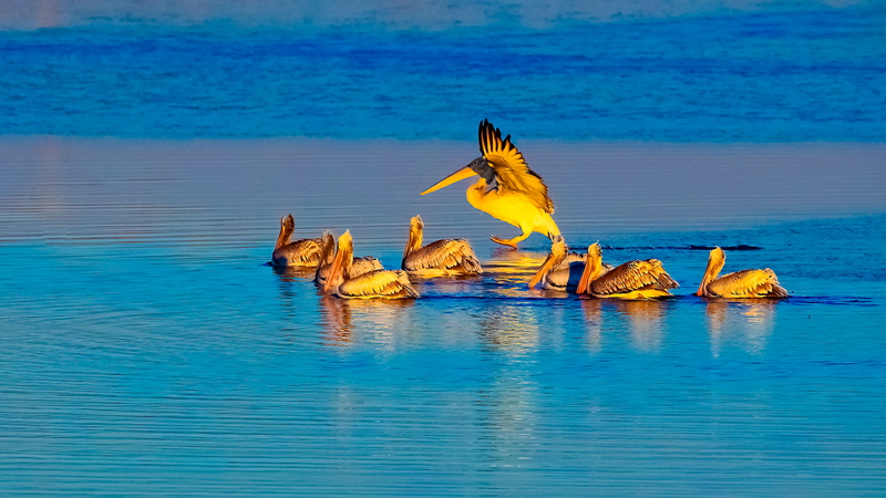 �����¿�֮һ  .jpg