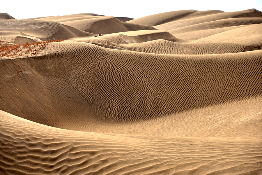 ���������ɳĮ