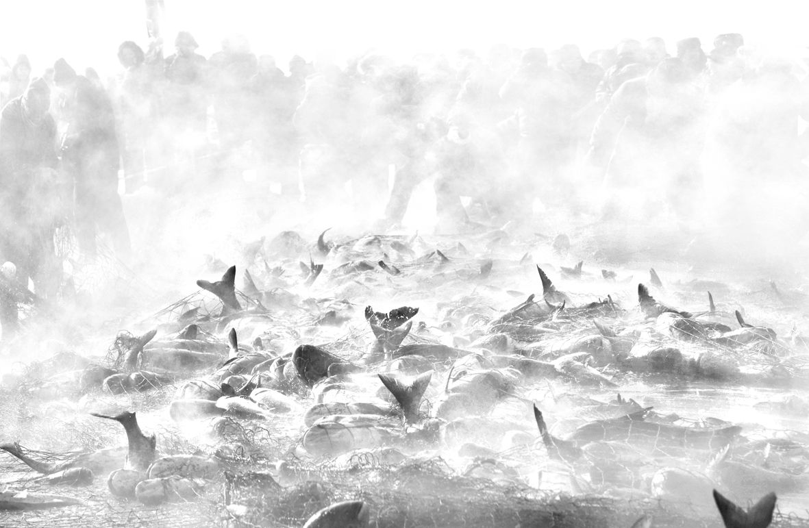 ������������������ΰ �� ����.jpg