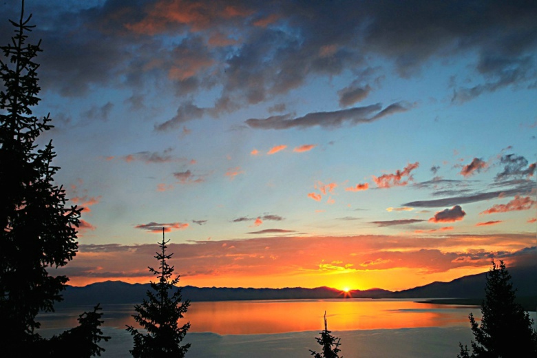 ������ϼ