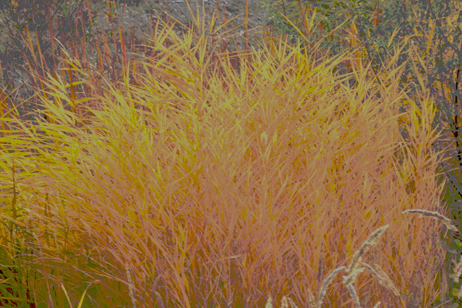 ����Ŀɿ��к�«έ