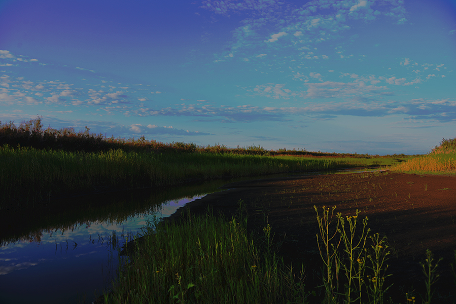 ����˹�����η��