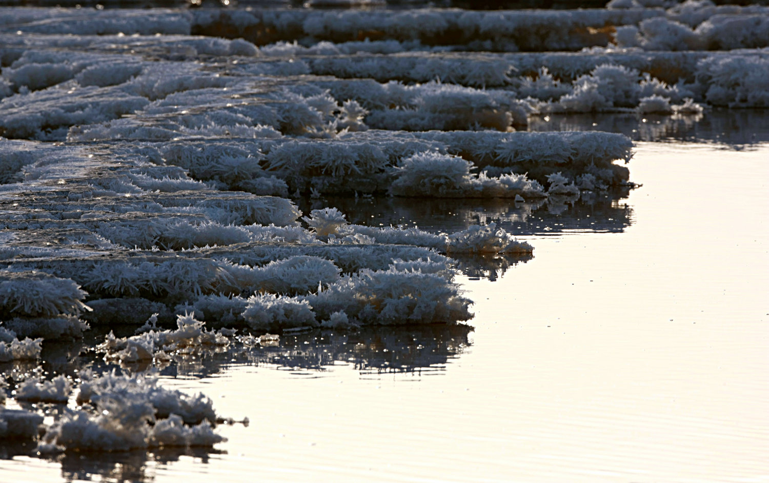 �ᾧ���ˮ��������