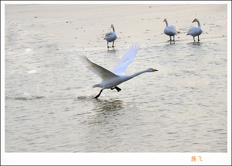 2013��12��28��ƽ½�������Ƭ ����011.jpg