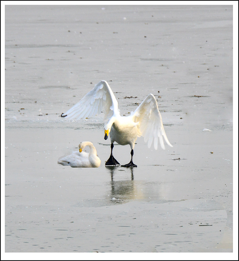 2013��12��28��ƽ½�������Ƭ ����1.jpg