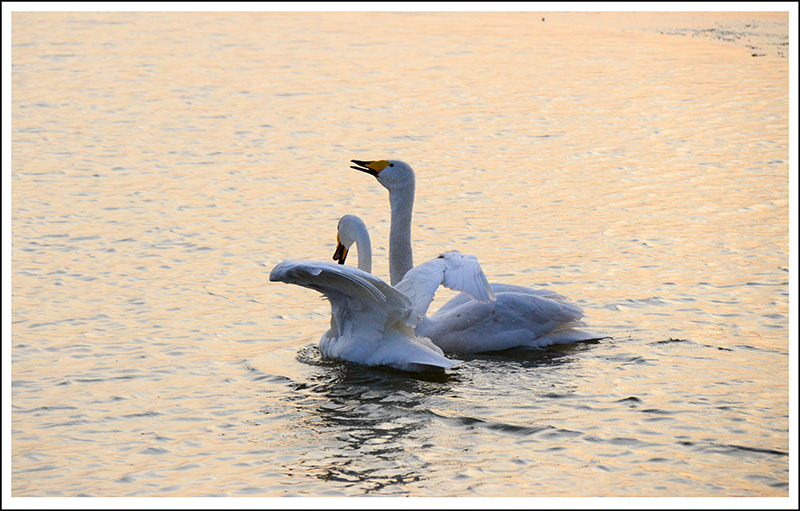 2013��12��28��ƽ½�������Ƭ ����22.jpg