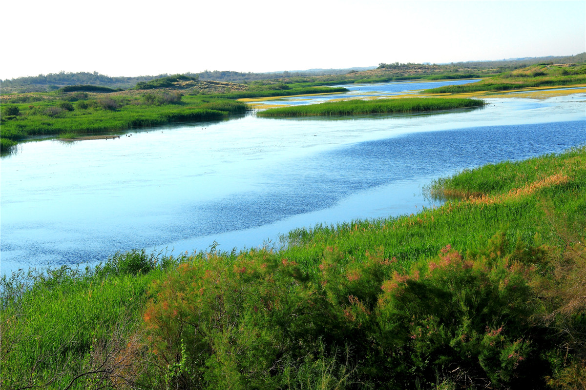 Ī����ʪ��