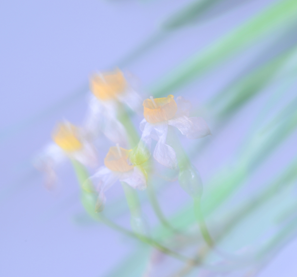 DSC_0161 ����.jpg