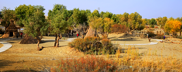 �޲��˾ɾӺ�ϰ�׾���