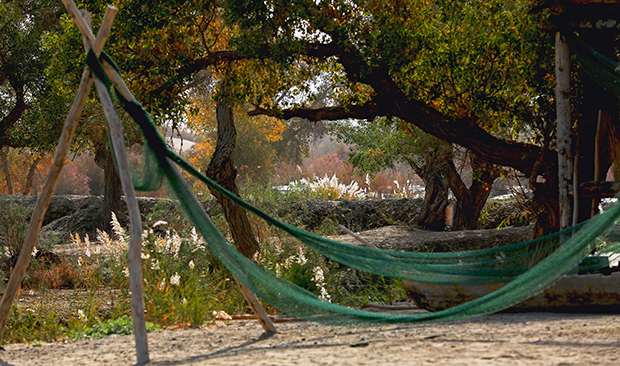 �ƶ����ӱ�ɹ����