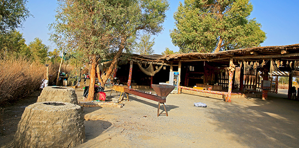 ��ǰ���οӺͿ����������Ŀ�¯