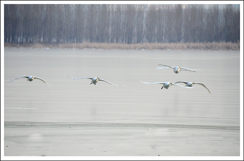 2013��12��28��ƽ½�������Ƭ ����014.jpg