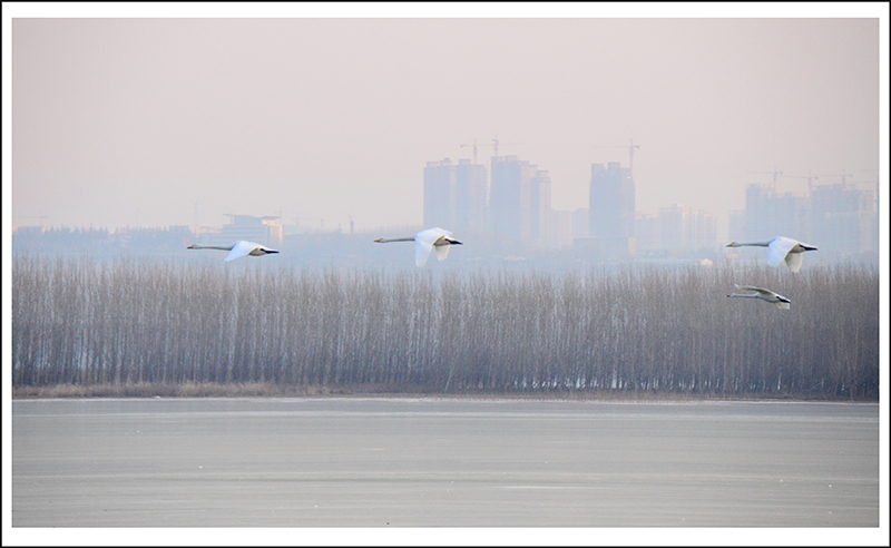 2013��12��28��ƽ½�������Ƭ ����20.jpg