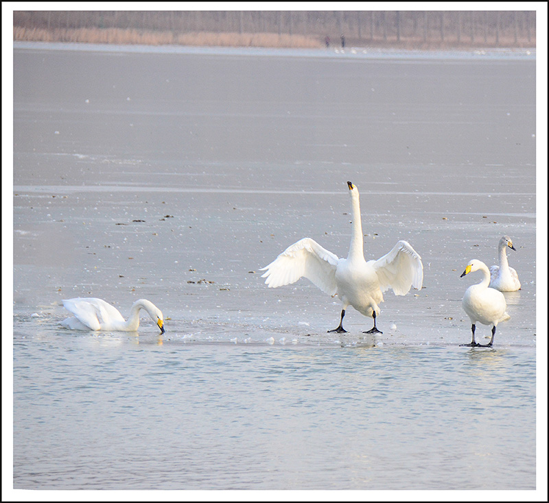 2013��12��28��ƽ½�������Ƭ ����0661.jpg